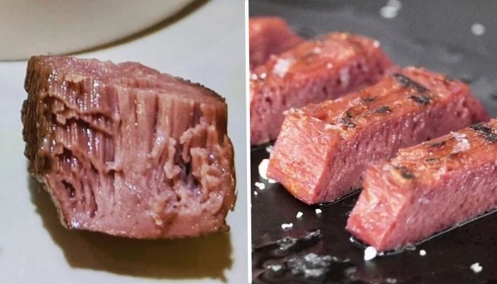 Imprimen en 3D carnes